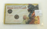 19TH & 20TH CENTURY INDIAN HEAD PENNIES WITH COA