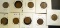 KEY DATE LINCOLN CENT LOT: