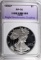 1995-P AMERICAN SILVER EAGLE ENG PERFECT