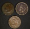 3 - INDIAN HEAD CENTS; 1870 G Damage,