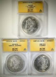 ANACS GRADED MORGAN DOLLARS: