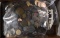 15 Pounds of Well Mixed Foreign Coins