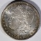 1881-S MORGAN DOLLAR  RAINBOW TONING