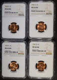4 YEAR RUN OF D MINT LINCOLN CENTS NGC MS-66 RD