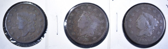 LARGE CENT LOT: