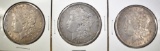 3 MORGAN DOLLAR LOT: