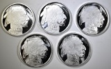 5-ONE OUNCE .999 SILVER INDIAN/BUFFALO ROUNDS