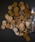 500 MIXED DATE WHEAT CENTS