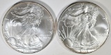 2002 & 2003 BU AMERICAN SILVER EAGLES