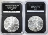 2004 & 2013 SILVER EAGLES