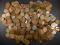 500-CIRC MIXED DATE WHEAT CENTS