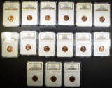 LOT OF 15 NGC GRADED LINCOLN CENTS 40'S-50'S
