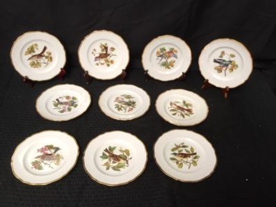 10 Spode Copeland England Plates