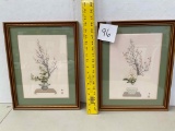 Silk Pictures