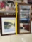 Beveled Mirror, Fish Picture