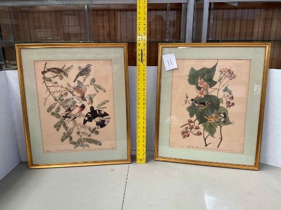 2 Audubon Prints