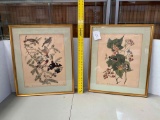 2 Audubon Prints