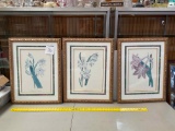 3 Prints