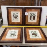 4 Pictures