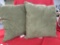 2 Green Microfiber Pillows