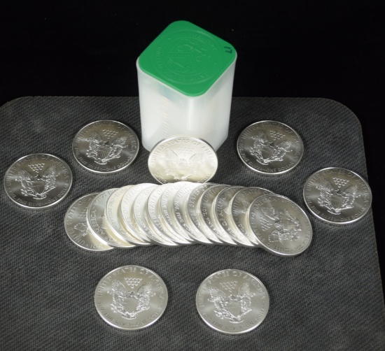 Roll 2013 20 Silver American Eagle Coins