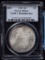 1891 Morgan Dollar PCGS MS-64 VAM2 DD Ear