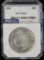 1891 Morgan Dollar PCI MS64