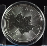 2014 Canadian Silver 1 ounsce