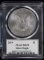 2019 American Silver Eagle PCGS MS-70 First Edition BEST Grade