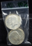 Bag of 10 Kennedy 40% Silver Halves Green