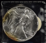 1987 American Silver Eagle Lower Tone UNC 1 oz