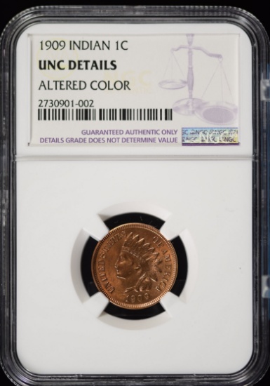 1909 Indian Head Cent NGC UNC details