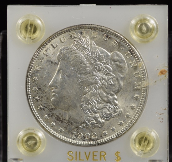 1902 Morgan Dollar Choice BU