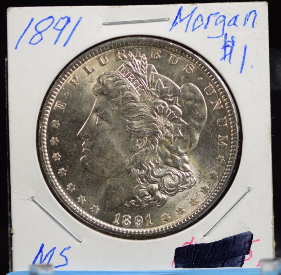 1891 Morgan Dollar MS