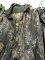 Camouflage Jacket and Pants Set - by Field and Stream / Extra Large