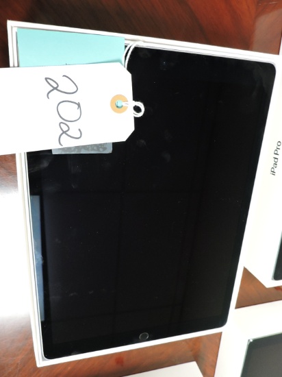 Used APPLE iPad Pro 12.9 - Inch WIFI 256GB - Black - Functional - with box, adapter, no cable