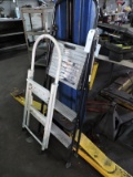 Pair of Two Small Step Ladders