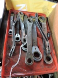 6 and 12 Point Ratchetting Wrenches