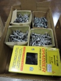 Lot of Assorted Screws and Bolts