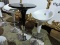 Modern Adjustable Height Table & 2 Stools