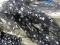 5 Large Bolts of Material - Silver Stars on Black Mesh