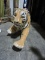 Tiger Prop / Missing Paw / Foam Construction / Approx 32