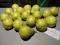 Lot of PROP PEARS - approx. 16