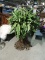 Pair of FAUX INDOOR PROP PLANTS / Free-Standing / Approx 42