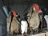 Pair of Faux VULTURE STATUES & One Penguin - See Photos