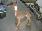 Whippet Dog Statue - Fiberglass Construction / Approx 44
