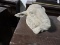 Lamb Head Statue - Approx 14