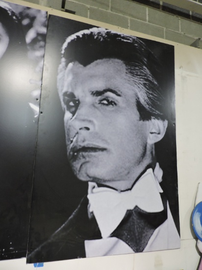 Giant Black & White GEORGE HAMILTON in LOVE AT FIRST BITE