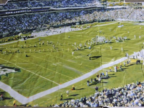 PHILADELPHIA EAGLES FOOTBALL GAME Panarama Wall Art