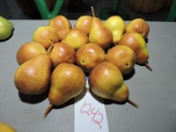 Lot of PROP PEARS - approx. 15
